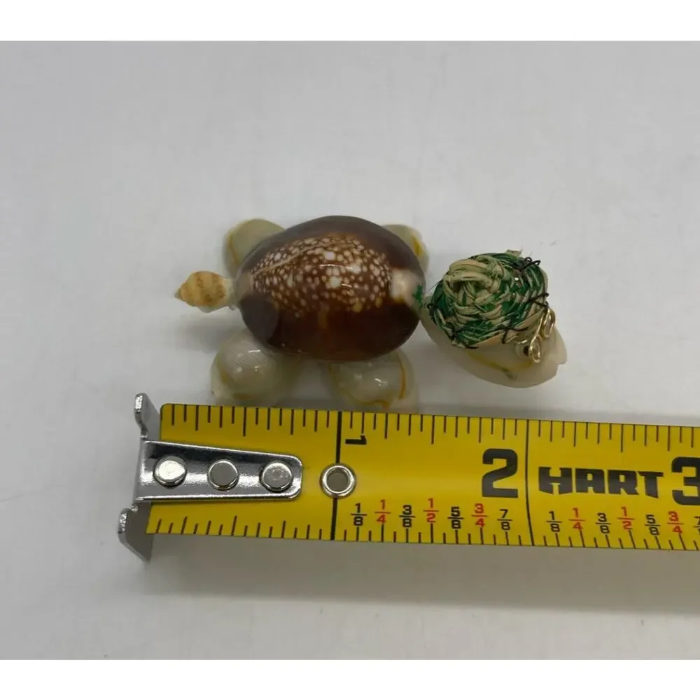 Unmarked small seashell